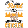 Chicken Chicken Breeding Chicken Farmer
