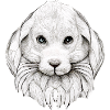 Rabbit in Comic Style