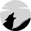 Das Wolfsrudel felsgrau
