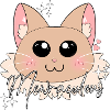 Mewraculou's cute cat