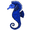 Hippocampe bleu