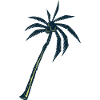 Palm tree