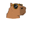 Capybara Meme Wasserschwein