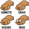 chien de garde