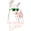 No Drama Lama