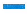 Russia Flag New