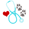Veterinarian Witz Veterinary Veterinary Practice