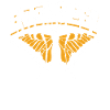 Entomology Profession Entomologist Insects Team