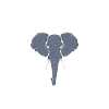 Elephant Saying