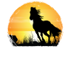 Sunset - Arabian Horse
