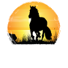Sunset - Andalusian Horse