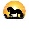 Coucher de soleil - Cheval frison