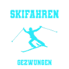 Skifahren Ski