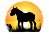 Sunset - Belgian Horse