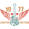 Guitariste Guitariste 1977