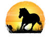 Sunset - Grade Horse