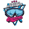 Skifahren Ski