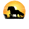 Sunset - Cold Blood Horse