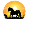 Sunset - Miniature Horse