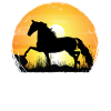 Sunset - Morgan Horse