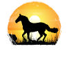Coucher de soleil - Horse