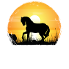 Sunset - Pony Horse