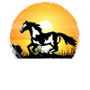 Sunset - Paint Horse
