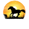 Sunset - Thoroughbred Horse