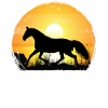 Sunset - Warmblood Horse