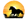 Sunset - Quarter Horse