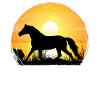 Sunset - Westfali Horse