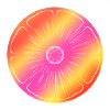 Pink orange citrusblume