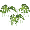 Monstera Mama - Pflanze