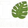 I love Monstera