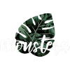 Monstera