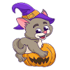 Pumpkin Halloween Witch