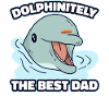 Dolphins Dad Dolphin Gift