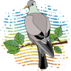 Oiseau