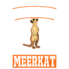 Erdmännchen Meerkat