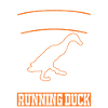 Indian Running Duck