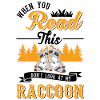Raccoon Gift Raccoon