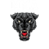 MMA-Panther