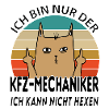 Kfz Mechaniker Auto