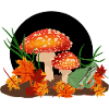 Pilze und Frosch