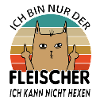 Fleischer