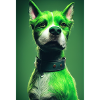 Chien Vert Punk
