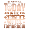 strong fitness