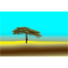 Tree in the Sahara