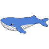 Blue whale