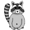 Raccoon